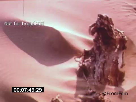 The still from 'Vincent Van Gogh: A Self-Portrait' (1961) features a textured, abstract composition, likely representing elements related to Van Gogh’s life or art. The play of light and shadow creates a dramatic effect, evoking the emotional depth often associated with Van Gogh’s works. The frame is marked 'Not for broadcast,' suggesting its use is restricted. The presence of Lee J. Cobb indicates a narrative or voiceover role in conveying Van Gogh's story.