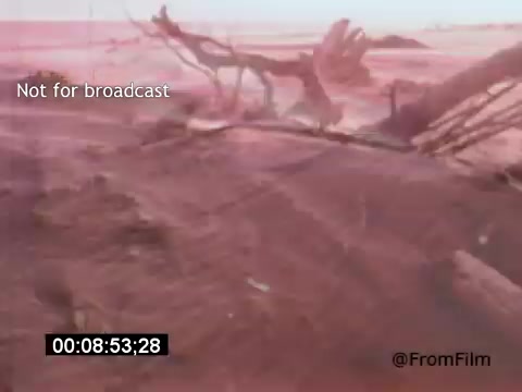 The still from 'Vincent Van Gogh: A Self-Portrait' (1961) features a landscape with vivid colors, possibly depicting the artist's emotional state. The hazy, reddish tone evokes a sense of intensity and turmoil, while gnarled branches and barren ground suggest themes of struggle and isolation. The presence of Lee J. Cobb likely adds depth to the portrayal of Van Gogh. Overall, the image reflects the tumultuous nature of Van Gogh's life and art.