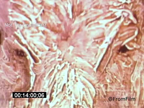 The 16mm still from 'Vincent Van Gogh: A Self-Portrait' (1961) features a close-up of Van Gogh's expressive brushwork, capturing the textured strokes that characterize his painting style. The expressive color palette reflects his emotional depth, and the intensity of the artwork invites the viewer to explore the psyche of the renowned artist. The film, narrated by Lee J. Cobb, aims to delve into Van Gogh's life and artistry.