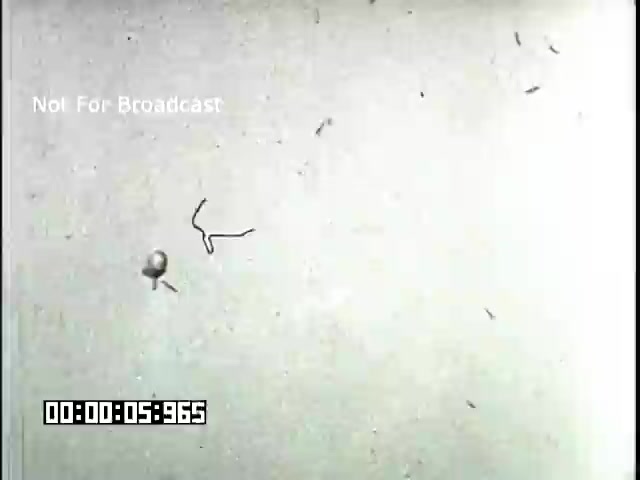 The still from the 'Battle of Britain' newsreel depicts an aerial scene captured on 16mm film. In the foreground, a small object, possibly resembling a bomb or a parachute, is visible against a light background. There are faint marks or trails, suggesting movement or debris in the air, indicative of a combat scenario. The text 'Not For Broadcast' indicates the footage is for archival or internal use only. The overall tone reflects the historical documentation of events during the Battle of Britain.