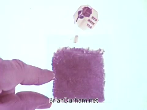 The still from the 1968 Red Rose Tea commercial features a hand pointing towards a tea bag. The bag is colored, showcasing the branding. Despite being processed in black and white, the scene suggests a vibrant atmosphere typical of vintage commercials. The focus on the tea bag emphasizes the product while the background remains minimal, highlighting simplicity.