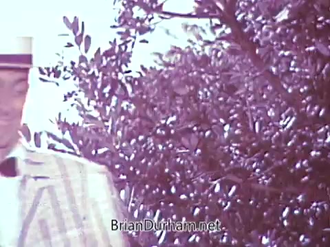 The still from the 1968 Red Rose Tea commercial features a man in a striped suit and hat, walking toward the camera. He appears cheerful, and the background is filled with greenery, possibly indicating a pleasant outdoor setting. The scene is meant to convey a light, inviting atmosphere associated with the tea brand. However, it has been processed in black and white, which detracts from the original vibrant colors intended for the advertisement.