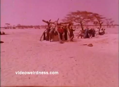 The still depicts a group of individuals in a sandy, arid landscape, likely in a rural or village setting. They are gathered near a structure or tree, with some carrying items, indicative of community activity. The scene is tinted in shades of pink, characteristic of the film's era, evoking a nostalgic feel associated with the 1970s Peace Corps public service announcements. The environment suggests a focus on lifestyle or cultural themes relevant to the communities served by the Peace Corps during that time.