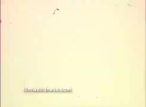 The still appears to be a frame from the trailer of 'The Mackintosh Man,' featuring a faded or blank background. It may include minimal visual elements and possibly some text or watermark. The tone suggests a classic film aesthetic, likely highlighting the style of the 1970s.