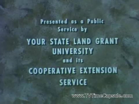 The still appears to present a message from a public service announcement related to pesticide safety. It emphasizes the importance of reading labels on pesticide containers to ensure safe use and storage. The text indicates it's provided by a State Land Grant University and its Cooperative Extension Service, highlighting the educational focus of the initiative. The overall tone suggests a commitment to public safety in various environments, including homes.