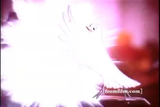 The still features a stylized white dove, a common symbol in Dove advertising, radiating light against a soft, colorful background. The design captures the aesthetic of 1970s advertising, emphasizing purity and cleanliness, likely correlating with the brand's message about the effectiveness and gentle nature of their dishwashing liquid. The image evokes a sense of freshness and simplicity.