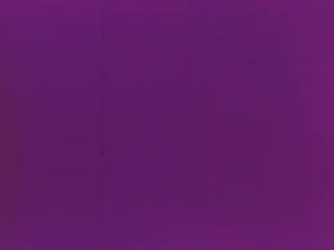 The still features a solid purple background, suggesting it could be a backdrop or a transition scene in the 'Corn King Sausage Commercial.' The simplicity of the image may serve to highlight key visuals or product messaging associated with the brand.