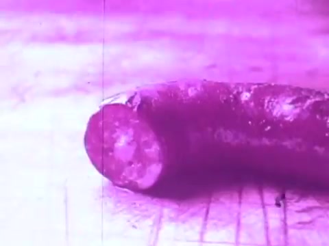 The still from the 'Corn King Sausage Commercial' features a close-up of a sausage, showcasing its textured surface. The image has a pinkish tint, giving it a vintage feel typical of 16mm film. The focus is on the sausage itself, possibly emphasizing its quality or appeal as a product. The background appears blurred, directing attention to the sausage.