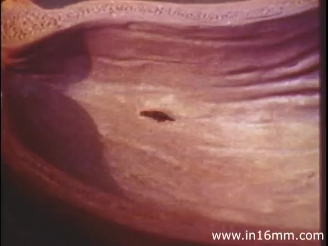 The still from 'I Am Joe's Stomach' depicts an intricate, three-dimensional animation of the human stomach. The image likely features a close-up view of the stomach's inner surface, with textures representing its muscular walls. A figurative representation, possibly a small character or object, is used to illustrate the functions and challenges faced by the stomach, particularly related to digestion and waste management. This educational piece combines animation and live action to convey the complexities of stomach health in a relatable manner.