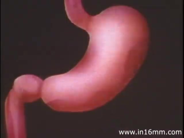 The still from 'I am Joe's Stomach' (1980s version) features a stylized, three-dimensional depiction of the human stomach. The vibrant, animated stomach emphasizes its shape and function, illustrating the digestive process in an engaging manner. This visual aids in exploring the intricacies of stomach health through the narrative of a character experiencing digestive issues, including problems related to bowel movements. The animation seamlessly blends educational content with a relatable storyline, making complex biological functions accessible to a wider audience.