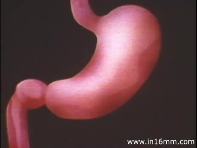 The still from 'I am Joe's Stomach' features a colorful three-dimensional representation of the human stomach. The stomach is depicted in a simplified, exaggerated form, emphasizing its shape and function. The animation style captures the essential characteristics of the stomach while maintaining an educational focus. This visual conveys the complexities of digestion and the importance of gastrointestinal health, integrating both live-action and animated sequences to tell the story of a person experiencing digestive issues. The overall tone is informative and engaging, typical of educational films from the 1980s.