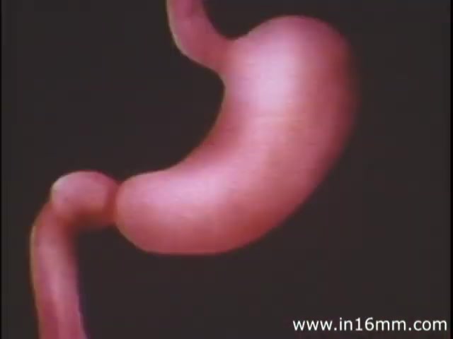 The still from 'I Am Joe's Stomach' features a three-dimensional animated representation of the human stomach. The animation likely highlights the unique shape and functions of the stomach, emphasizing its role in digestion. The context of the 1980s edition includes educational elements, illustrating the importance of stomach health and the consequences of dietary issues, conveyed through the metaphor of a character facing problems related to digestion. The visual style is vibrant and clearly aimed at both informing and engaging viewers on the topic of human biology.