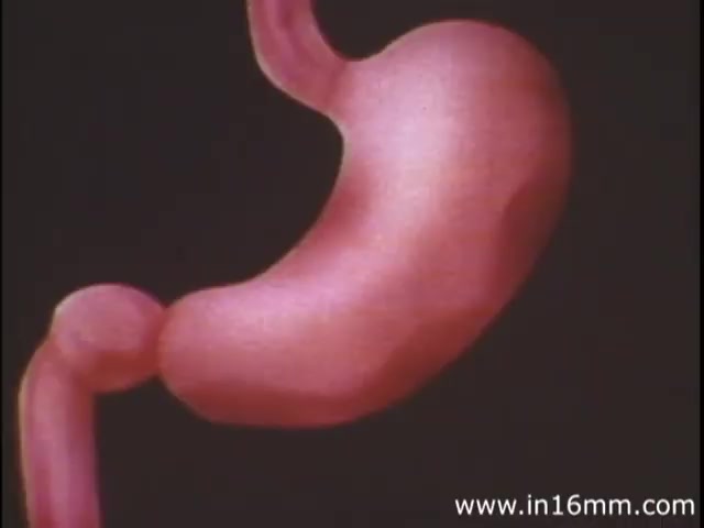 The still from 'I Am Joe's Stomach' features a stylized, three-dimensional representation of a human stomach. The stomach is depicted in vibrant, fleshy tones, showcasing its anatomical shape and structure. This educational film from Readers Digest utilizes a blend of animation and live action to illustrate the complex functions of the stomach, particularly focusing on digestion and gastrointestinal issues. The narrative conveys the importance of stomach health through relatable experiences, emphasizing its role in overall well-being.