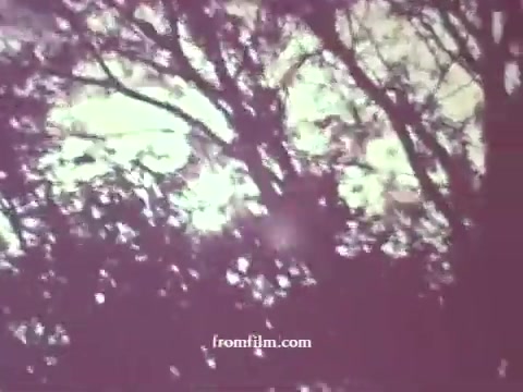 The still features a faded, ethereal depiction of tree branches silhouetted against a bright, diffused light, likely representing the sun. The overall color palette is muted, capturing the vintage look typical of 1967 16mm film. This imagery aligns with the theme of a public service announcement focused on pesticides, possibly suggesting a connection to nature and environmental health.