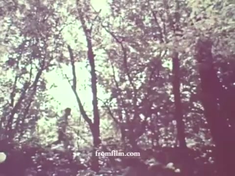 The still from the '1967 Pesticides PSA - Arizona Cooperative Extension Service' features a faded, soft-colored image of a wooded area. Light filters through the dense canopy of trees, creating a dappled effect on the ground. A silhouette of a person can be seen walking, suggesting themes of nature and human interaction with the environment, relevant to the context of pesticide awareness.