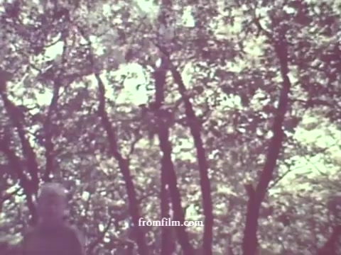 The 16mm still from the 1967 Pesticides PSA features a scene with a man standing under a canopy of trees, the colors appearing very faded, indicative of the film's age. The setting suggests an outdoor environment, likely highlighting the natural impact of pesticides. The overall tone is somber, reflecting the serious nature of the public service message.
