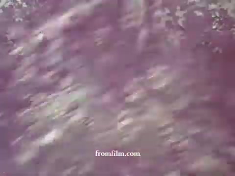 The still shows an abstract, blurred composition with faded colors, likely due to the age of the 16mm print. It reflects themes associated with environmental awareness and agricultural safety, typical of public service announcements from the era. The overall impression is one of deterioration and nostalgia, evoking a historical perspective on pesticide use.