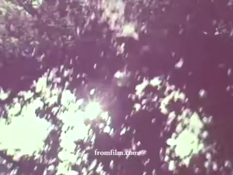 The still from the 1967 Pesticides PSA features a faded color palette, showcasing a dappled play of light and shadows through trees. The scene evokes a natural setting, likely intended to emphasize the relationship between nature and the use of pesticides. The softness of the image complements the nostalgic feel of the period while promoting awareness of pesticide use.