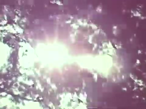The still features a bright light source, likely the sun, partially obscured by scattered foliage. The colors are very faded, giving the image a vintage, ethereal quality typical of 1967 public service announcements. The overall tone suggests an emphasis on nature and the environment, aligning with the theme of pesticides.