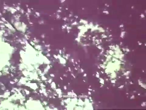 The still from the 1967 Pesticides PSA features a highly faded, monochromatic image that suggests a natural setting, possibly showing tree branches and leaves. The colors are muted, with a predominance of light greens and browns, reflecting the vintage quality of the 16mm print. The overall mood evokes a sense of nature, likely tying into the themes of the public service announcement regarding the use of pesticides.