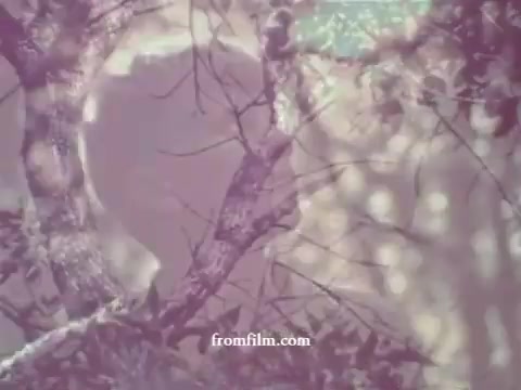 The still depicts a muted, faded color palette typical of older film stock. In the foreground, indistinct branches and a hazy shape suggest nature's presence, likely meant to symbolize environmental themes. The overall impression is one of softness and nostalgia, characteristic of 1960s public service announcements, with a focus on the intersection of nature and pesticides.