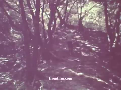 The still from the 1967 Pesticides PSA features a dimly lit forest scene, with faded colors typical of an aged 16mm print. A person can be seen walking through the wooded area, surrounded by trees and dappled sunlight. The overall mood is somber, reflecting the cautionary message regarding pesticide use.