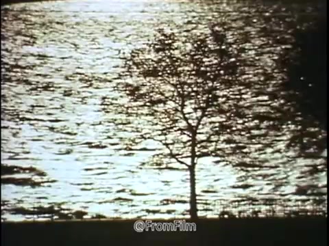 The still from the 1968 National Safety Council PSA depicts a serene landscape where a lone tree stands near a water body. The surface of the water reflects light, creating a shimmering effect, while the tree contrasts with the gentle waves. This imagery evokes a calm yet cautious atmosphere, aligning with the PSA’s message about the hidden dangers on the road, particularly related to tire wear and pressure. The visual elements of nature, like the tree and water, serve as a backdrop to illustrate the importance of being alert and mindful of driving conditions that could lead to accidents.