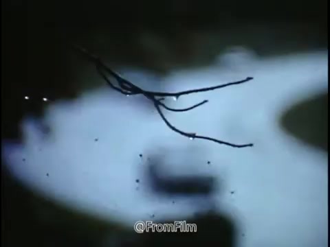 The still from the 1968 National Safety Council PSA captures a moody and cautionary scene. It features a close-up of bare branches adorned with droplets, possibly from a recent rain, set against a blurred background of a winding road. The road is slick and glistening, suggesting hazardous driving conditions. The overall atmosphere conveys a sense of unease, emphasizing the dangers of driving in adverse weather and the importance of being vigilant about vehicle maintenance, particularly tire condition and pressure. The visual elements echo the themes of caution and awareness highlighted in the narrative.