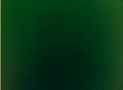 The still appears to be a color frame from a 16mm silent negative of the Kodak 1977 Sales Film featuring Michael Landon and Dick Van Dyke. The image likely serves to showcase Kodak's film quality, emphasizing the vibrant colors typical of the era's holiday marketing. However, the frame contains a predominately green hue, lacking any discernible subject or action typical of a film still.