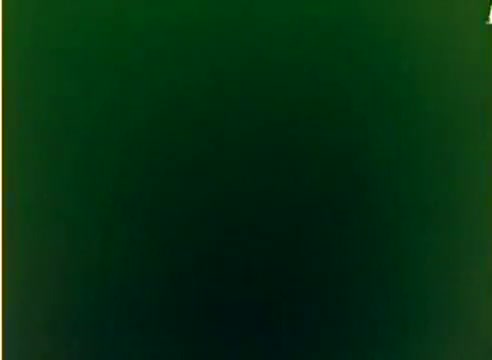 The still features a muted color palette, primarily green, typical of a silent 16mm negative. It likely showcases promotional content for Kodak's 1977 Christmas season sales, highlighting the appeal of film and photography. The context involves Michael Landon and Dick Van Dyke, suggesting a festive or lighthearted theme in the film.