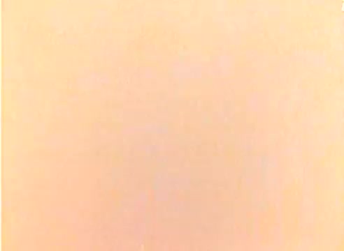 The still from the 16mm silent color negative of the 'Kodak 1977 Sales Film' appears mostly blank or faded, lacking distinct images. Intended to promote Kodak's products for the Christmas season, it likely features iconic figures like Michael Landon and Dick Van Dyke in a previous segment, showcasing their charm and appeal in a festive context.