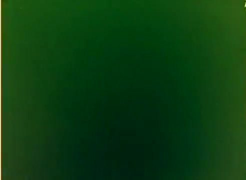 The still from the 'Kodak 1977 Sales Film' features a greenish background, typical of film negatives. It captures the essence of a silent promotional piece aimed at showcasing Kodak's film quality during the holiday season of 1977. The context includes two noted figures, Michael Landon and Dick Van Dyke, though their presence isn't visually represented in this still.