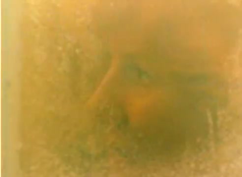 The still from the 16mm silent negative features a muted, yellow-tinted image. It appears to capture an obscured view of a figure, suggesting a moment of intrigue or emotion, likely involving Michael Landon or Dick Van Dyke. The soft focus and color wash create a nostalgic atmosphere, aligning with the festive spirit of the 1977 Christmas season.