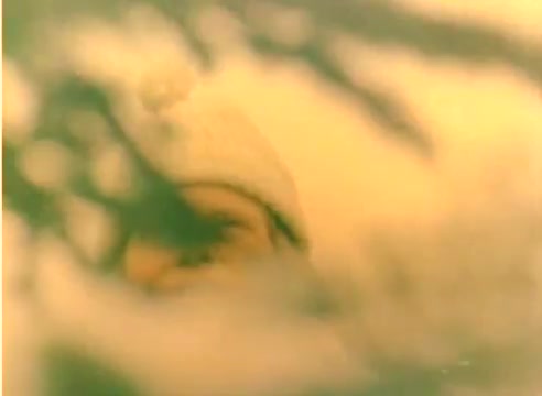 The still presents a close-up of a young child's face partially obscured by snow, likely wearing a white knit hat. The muted color palette suggests a dreamy, nostalgic quality, fitting for a film promoting Kodak products leading into the 1977 Christmas season. The soft focus on the child's expression conveys warmth and wonder, characteristic of holiday imagery.