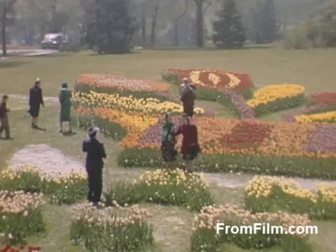The still from 'The Tulip Film' captures a vibrant array of tulips in full bloom, showcasing a stunning floral display in a park setting. Visitors stroll among meticulously arranged flower beds, reflecting the beauty of post-war Kodachrome color. The scene is a glimpse into Holland, Michigan, before the inception of the Tulip Time Festival, highlighting a rich cultural appreciation for flowers. This footage, dating from 1948-1950, evokes nostalgia and celebrates the charm of a bygone era.