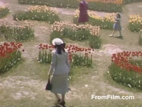 The still captures a vibrant scene from post-war Holland, Michigan, showcasing a picturesque garden filled with blooming tulips. The colorful rows of red, yellow, and pink flowers create a stunning backdrop for three women strolling through the manicured landscape. The film, rendered in rich Kodachrome, hints at the beauty and charm of nature during the late 1940s, predating the famous Tulip Time Festival.