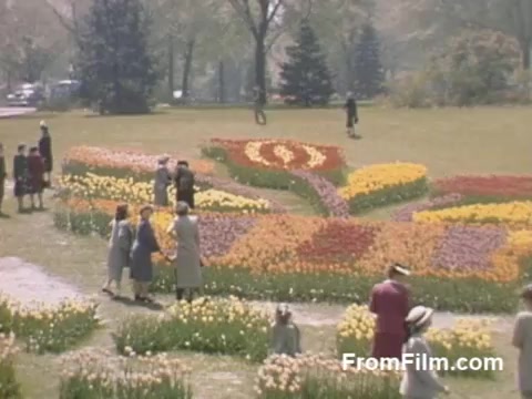 The still from 'The Tulip Film' captures a vibrant scene of tulip gardens, showcasing the post-war beauty of Kodachrome footage. It features an array of colorful tulip patterns in a park setting, with several people leisurely strolling through the blooming flowers. This idyllic snapshot predates the famous Tulip Time Festival in Holland, Michigan, emphasizing the charm of early tulip displays in the area. The atmosphere is serene and festive, celebrating the allure of spring.