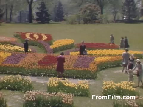 This still from 'The Tulip Film' showcases vibrant post-war Kodachrome footage featuring a beautifully arranged flower garden in Holland, Michigan, before the Tulip Time Festival. The scene captures visitors strolling among colorful flower beds, highlighting the region's picturesque tulip displays. The lush greenery and vivid blossoms create a nostalgic and inviting atmosphere, reflecting a serene moment in the 1940s.