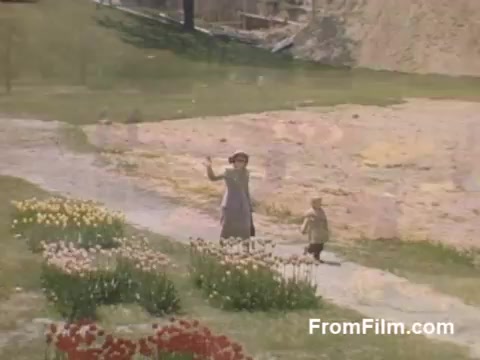 The still from 'The Tulip Film' captures a charming moment in post-war Holland, Michigan, showcasing vibrant blooming tulips along a pathway. A woman and child walk together, with the woman waving, embodying a sense of joy and community. This Kodachrome footage beautifully highlights the natural colors and spirit of the era, predating the famous Tulip Time Festival. It's a delightful glimpse into the region's early appreciation for tulips.