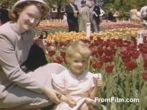 The still from 'The Tulip Film' captures a charming moment in a vibrant field of tulips, likely in Holland, Michigan, before the establishment of the Tulip Time Festival. A smiling woman dressed in a light gray suit and a hat poses beside a young girl, who sits among a bed of red tulips. The colorful flowers bloom all around them, showcasing beautiful post-war Kodachrome footage filled with warmth and nostalgia for flower enthusiasts.