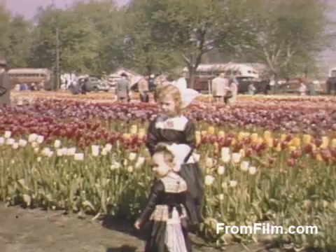 The still captures a vibrant scene from the late 1940s, showcasing a floral tableau of tulips in full bloom. Set in Holland, Michigan, before the establishment of the Tulip Time Festival, two young girls dressed in traditional attire stand amidst a colorful field of tulips. The background reveals a bustling community, with people enjoying the festive atmosphere and the post-war exuberance evident in the Kodachrome colors. This charming slice of history highlights both the beauty of nature and the cultural traditions of the time.