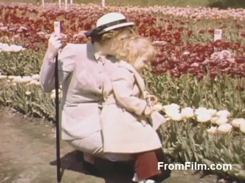 The still from 'The Tulip Film' showcases a serene moment in a tulip field in Holland, Michigan, prior to the Tulip Time Festival. It features a woman in a light-colored suit and a stylish hat, kneeling beside a young child. They are surrounded by vibrant rows of tulips in a variety of colors, captured in rich post-war Kodachrome. This nostalgic glimpse highlights the beauty of flowers and family, inviting viewers to appreciate the charm of this era.