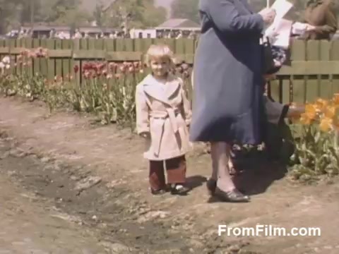 This 16mm still from 'The Tulip Film' features vibrant Kodachrome footage showcasing a child in a light-colored coat standing among blooming tulips in Holland, Michigan, prior to the Tulip Time Festival. In the background, adults are engaged with floral displays, encapsulating a picturesque moment of post-war life and the early appreciation of tulips in the area. The colors are bright and inviting, reflecting the beauty of the flowers and the joy of springtime.