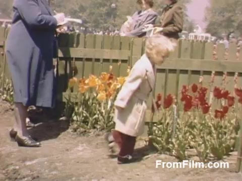 The 16mm still from 'The Tulip Film' captures a charming scene from Holland, Michigan, before the Tulip Time Festival. The vibrant post-war Kodachrome footage showcases a young child in a light coat, exploring a flower garden filled with striking red and orange tulips. In the background, adults enjoy the day, emphasizing a nostalgic atmosphere of early floral celebrations. This delightful glimpse into the past is a must-see for flower enthusiasts.