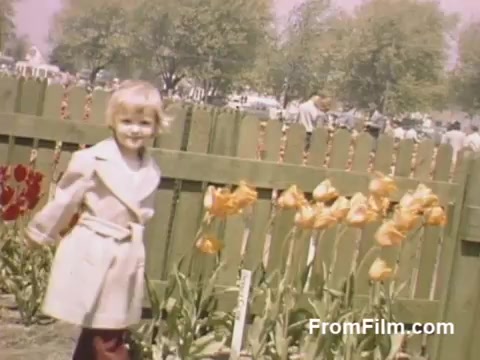 The still captures a charming moment from 'The Tulip Film,' showcasing vibrant post-war Kodachrome footage. In the foreground, a young girl smiles while standing beside blooming tulips against a backdrop of a green picket fence. Soft pastel tones characterize the scene, hinting at a sunny day filled with blossoms, likely in Holland, Michigan, before the inception of the Tulip Time Festival. The lively atmosphere and floral abundance highlight the early celebration of tulip culture in the area.