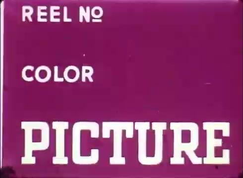 The still features a vibrant purple background with bold white text displaying 'REEL NO' and 'COLOR' at the top and 'PICTURE' prominently below. The text is clear and centered, with a simple and retro aesthetic typical of 16mm prints. An object is visible in the lower left corner, indicating this is a lab reject.