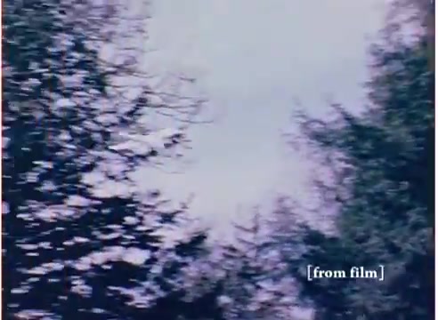 The still from the 'Flying Submarine' toy commercial reveals a vibrant, dreamlike nature scene, featuring the tops of trees against a cloudy sky. The colors are slightly washed out, hinting at the film's age. The text '[from film]' is overlaid, indicating it's a still taken directly from the commercial's 16mm negative, which dates back to 1972. The mention of a separate, quality soundtrack suggests attention was given to the audio-visual experience, especially since an alternative soundtrack is marked as unusable. Overall, it captures a nostalgic feel characteristic of vintage toy advertising.