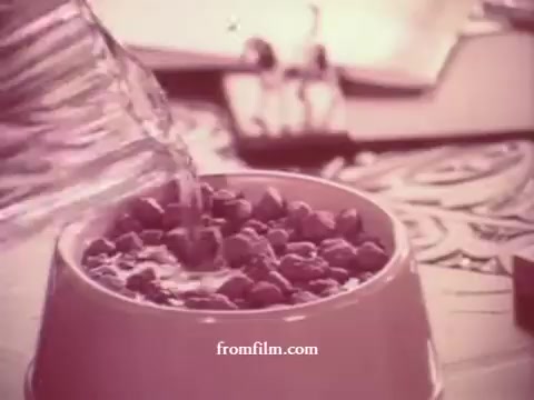The still from the 'Gravy Train Dog Food Commercial' features a close-up of a dog food bowl being filled with water, creating a mix of dry kibble and liquid. The image has a vintage aesthetic typical of a 16mm print, with a soft focus and a muted color palette. The background suggests a home setting, likely emphasizing comfort and care for pets.