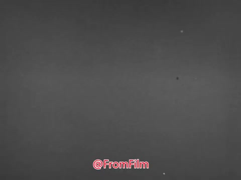 The still is from a 1960s Massey Ferguson lawn tractor commercial featuring Jerry Colonna. The footage likely emphasizes the lawn tractor's features and performance within a gardening or outdoor context, as was common in promotional materials of that era. For licensing inquiries and higher resolution options, please reach out for more details.