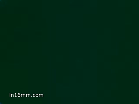 The still from the 'Breyers Ice Cream Ad - 1980's' features a nostalgic scene where a woman reminisces about her childhood in Valhalla, emphasizing the quality and simplicity of Breyers ice cream. She highlights natural ingredients like chunks of peaches, milk, and cream, portraying it as comparable to her homemade ice cream, free from artificial additives. The overall tone conveys warmth and authenticity.